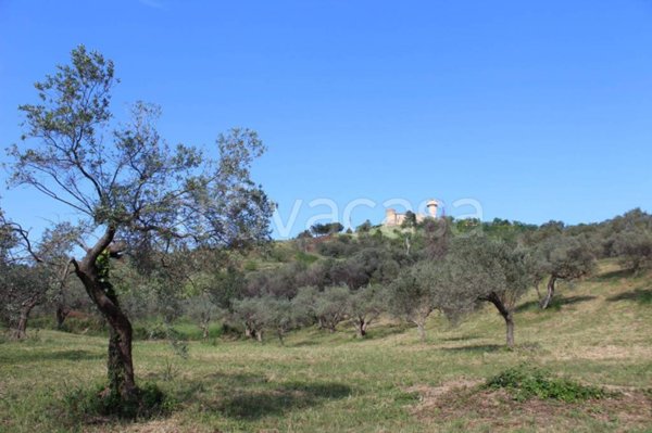 appartamento in vendita a Monteodorisio