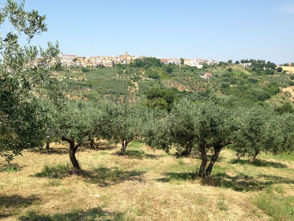 bifamiliare in vendita a Monteodorisio