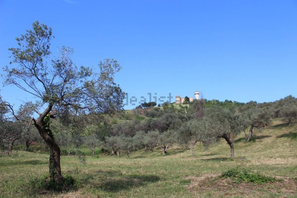 appartamento in vendita a Monteodorisio