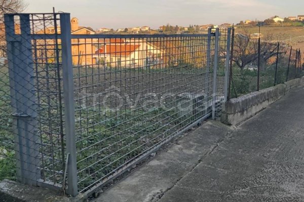 terreno agricolo in vendita a Monteodorisio