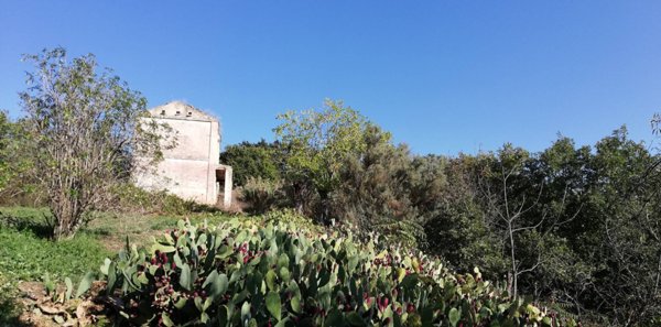 casale in vendita a Monteodorisio