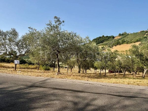 terreno agricolo in vendita a Monteodorisio