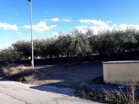 terreno agricolo in vendita a Monteodorisio