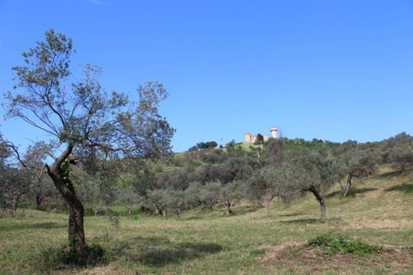 villa in vendita a Monteodorisio