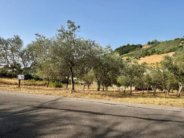 terreno agricolo in vendita a Monteodorisio