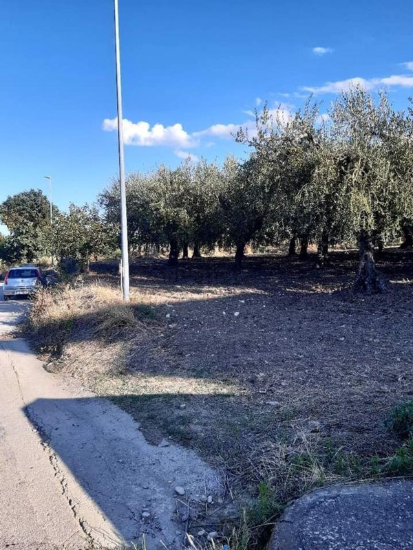 terreno in vendita a Monteodorisio