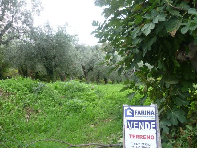 terreno agricolo in vendita a Mozzagrogna