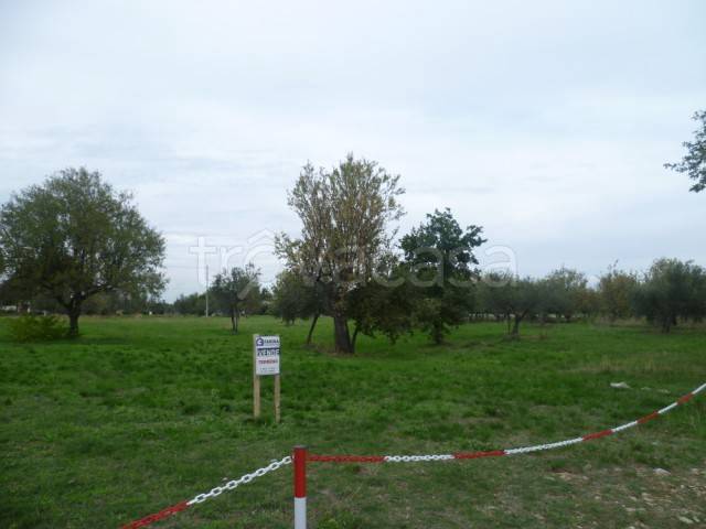 ufficio in vendita a Mozzagrogna in zona Cuna Re di Coppe