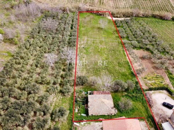 casa indipendente in vendita a Mozzagrogna