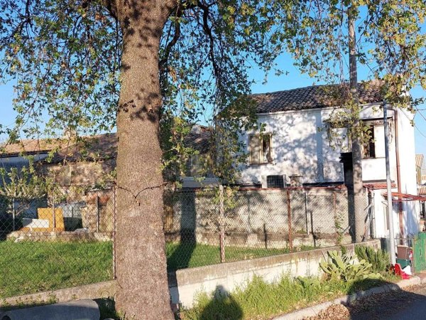 esavano in vendita a Mozzagrogna