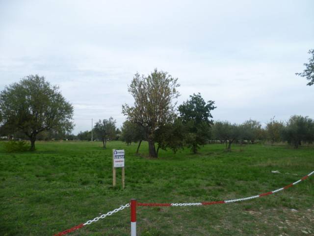 terreno agricolo in vendita a Mozzagrogna in zona Cuna Re di Coppe