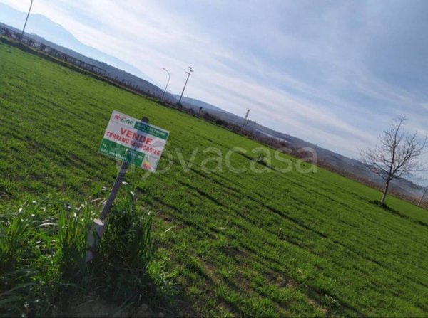 terreno agricolo in vendita a Mozzagrogna in zona Castel di Sette