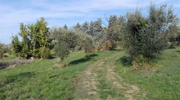 terreno edificabile in vendita ad Orsogna