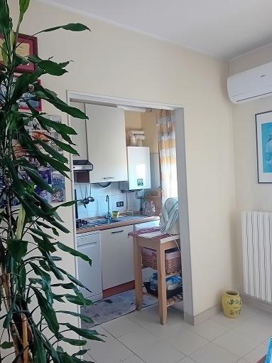 appartamento in vendita ad Orsogna