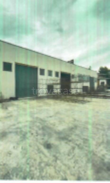 terreno edificabile in vendita ad Orsogna in zona Sterparo