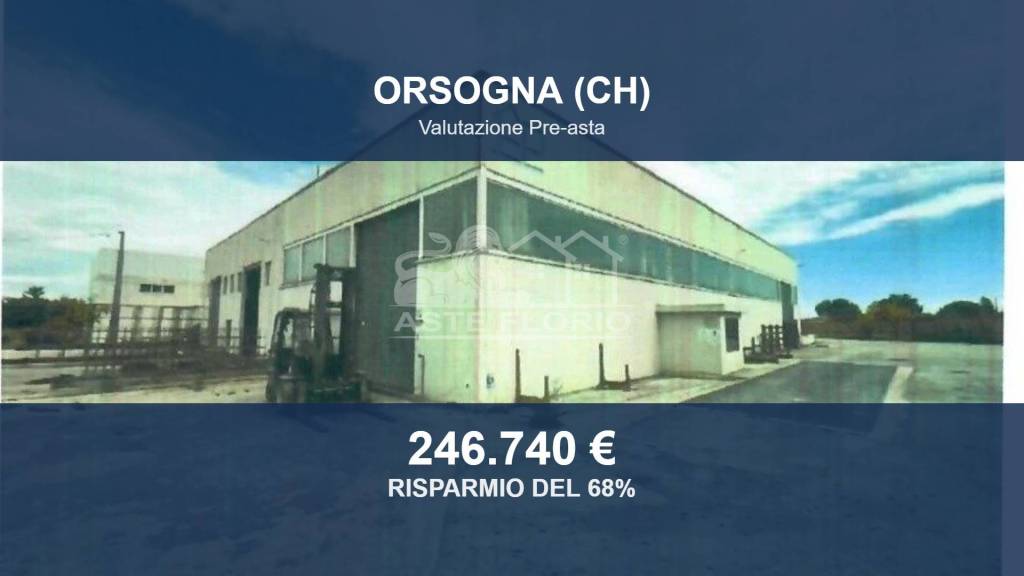 locale commerciale in vendita ad Orsogna in zona Sterparo