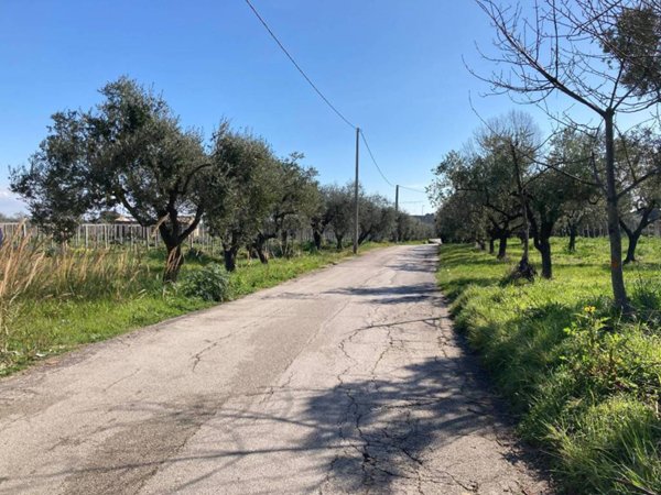 terreno agricolo in vendita ad Ortona in zona Ripari di Giobbe