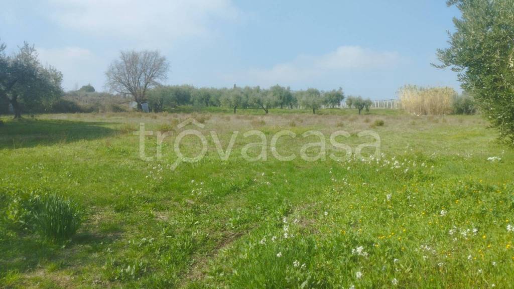 terreno agricolo in vendita ad Ortona in zona Caldari