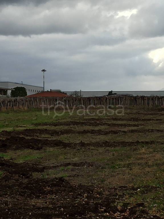 terreno agricolo in vendita ad Ortona