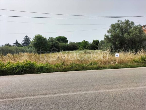 terreno agricolo in vendita ad Ortona