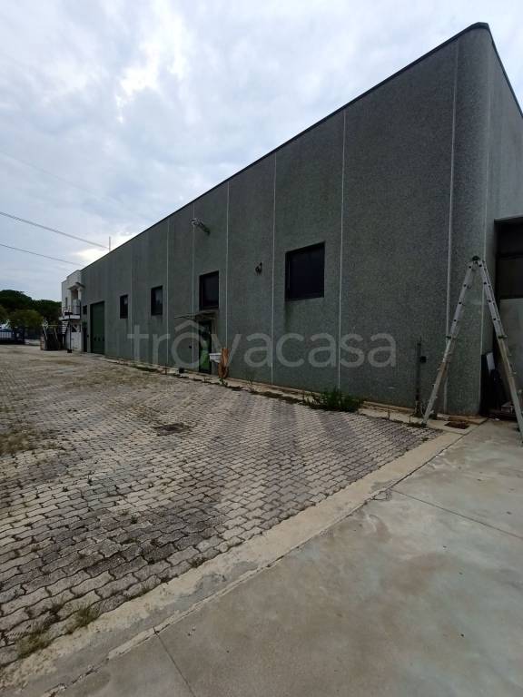locale commerciale in vendita ad Ortona in zona Sant'Elena