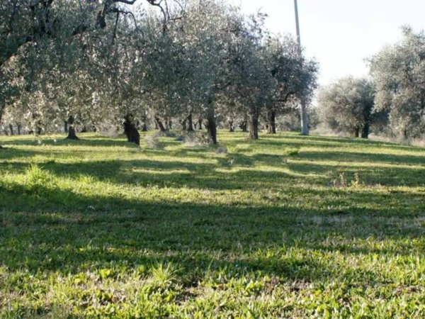 casa indipendente in vendita ad Ortona in zona Cappellini