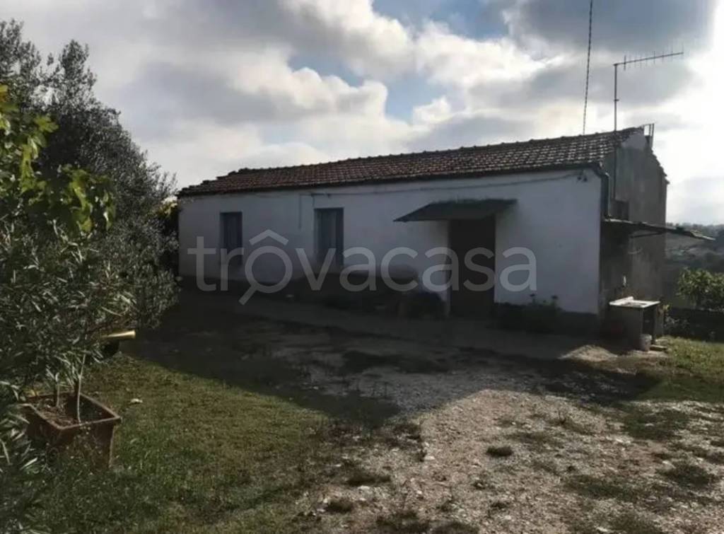 immagine annuncio 0 di 1