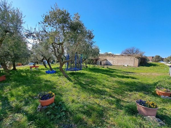 esavano in vendita ad Ortona