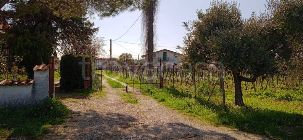 villa in vendita ad Ortona in zona Rogatti