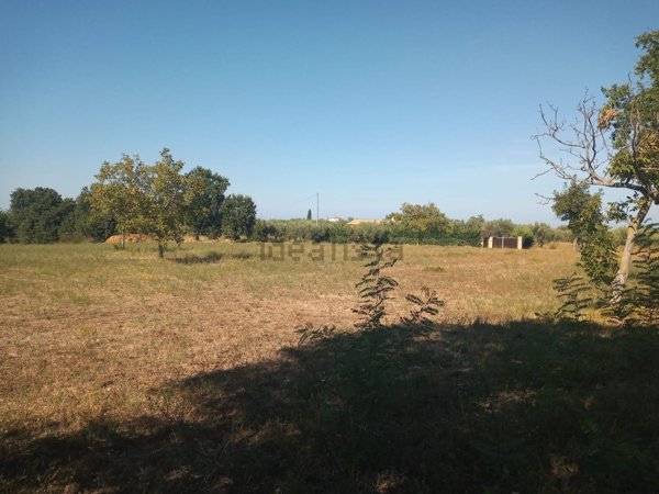 appartamento in vendita ad Ortona in zona Lido Riccio
