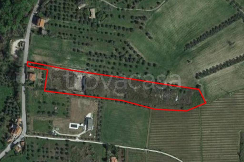 terreno agricolo in vendita ad Ortona