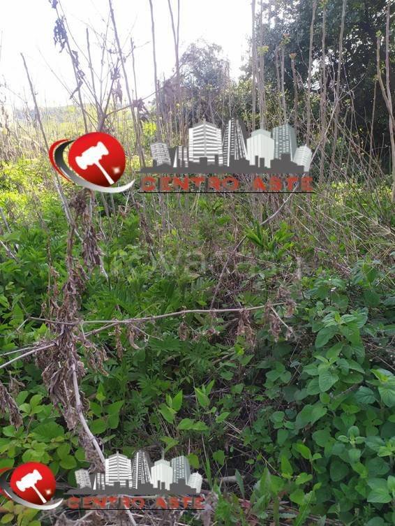 terreno agricolo in vendita ad Ortona