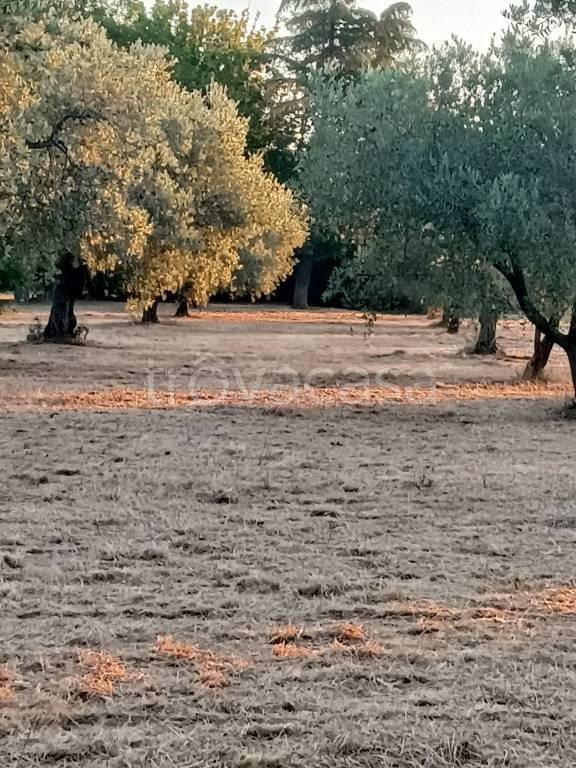 casa indipendente in vendita ad Ortona