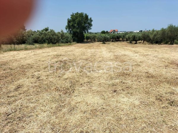 terreno agricolo in vendita ad Ortona in zona Villa San Leonardo