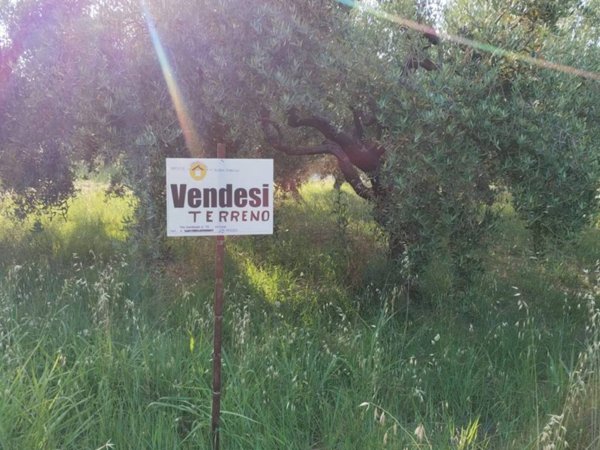terreno agricolo in vendita ad Ortona