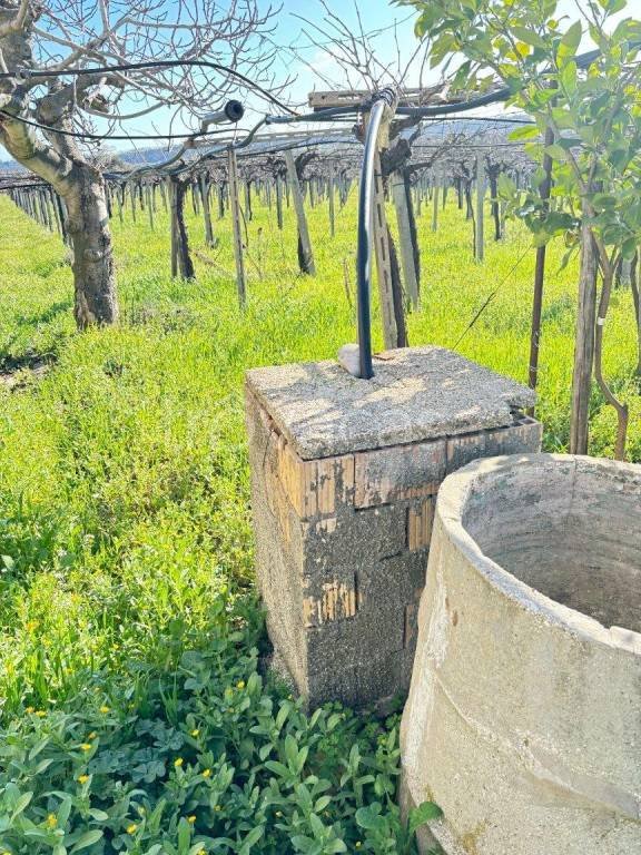 terreno agricolo in vendita ad Ortona in zona San Pietro