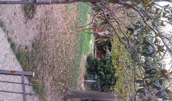 casa indipendente in vendita ad Ortona