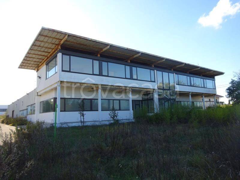 capannone in vendita ad Ortona