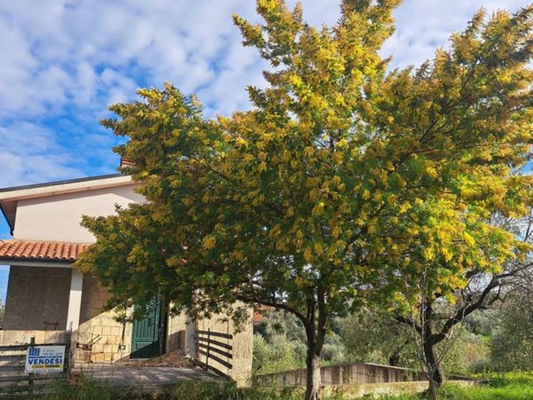 casa indipendente in vendita ad Ortona