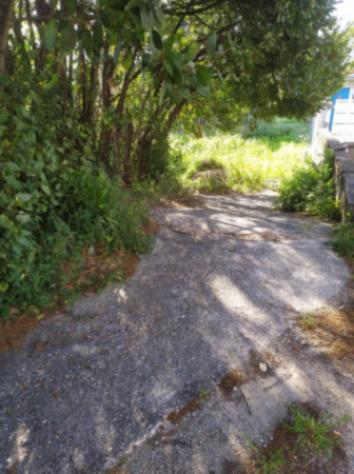 terreno agricolo in vendita ad Ortona