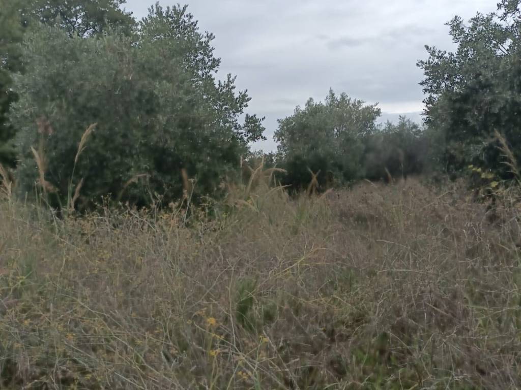 terreno agricolo in vendita ad Ortona in zona Villa San Nicola