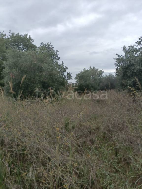 terreno agricolo in vendita ad Ortona