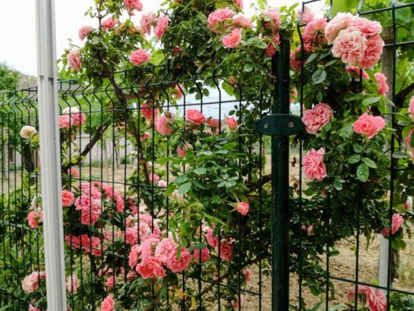 casa indipendente in vendita ad Ortona