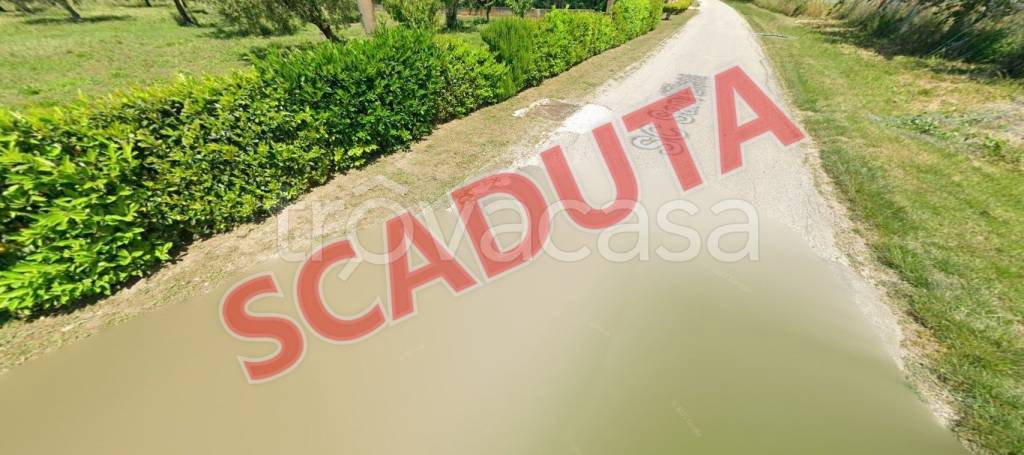 negozio in vendita ad Ortona