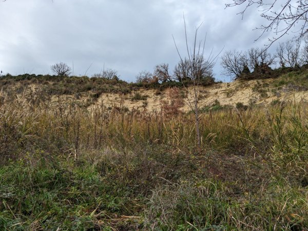 terreno agricolo in vendita ad Ortona