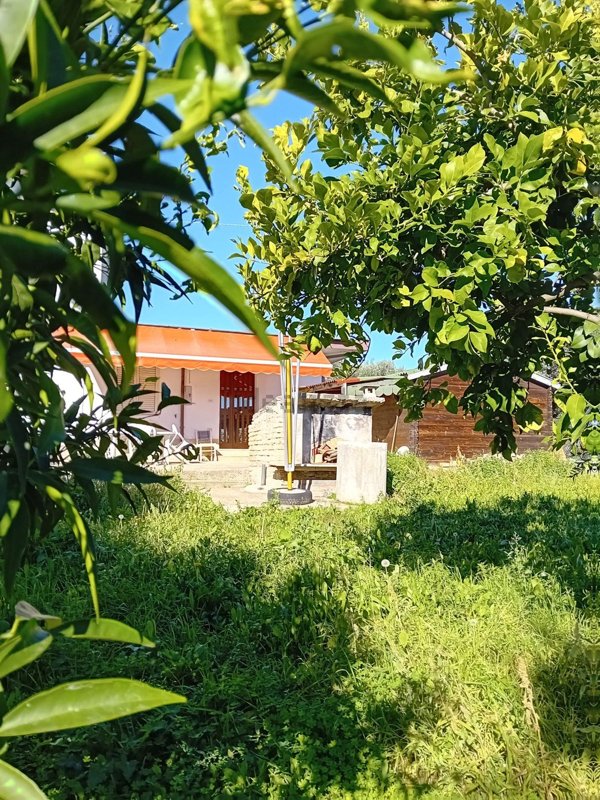 pentavano in vendita ad Ortona in zona Lido Riccio