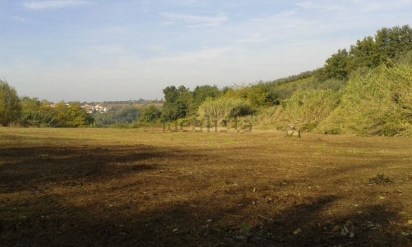 terreno agricolo in vendita ad Ortona in zona Arielli