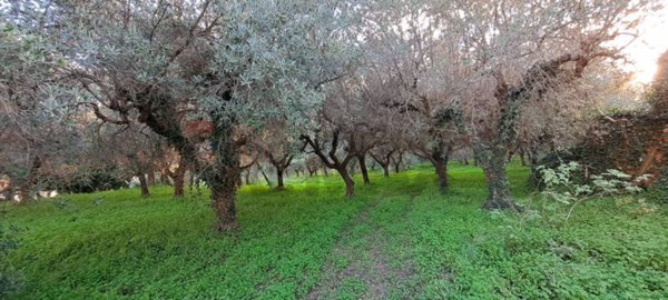 casa indipendente in vendita ad Ortona in zona Rogatti