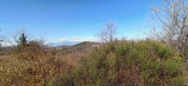 terreno agricolo in vendita ad Ortona