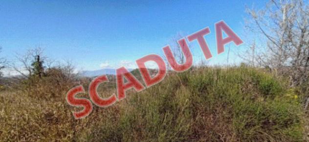 terreno agricolo in vendita ad Ortona